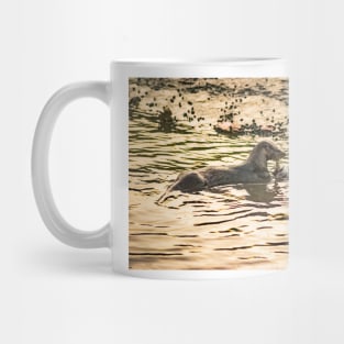 Otter in water Mug